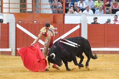 donde ver las corridas de toros|corrida de toros in spain.